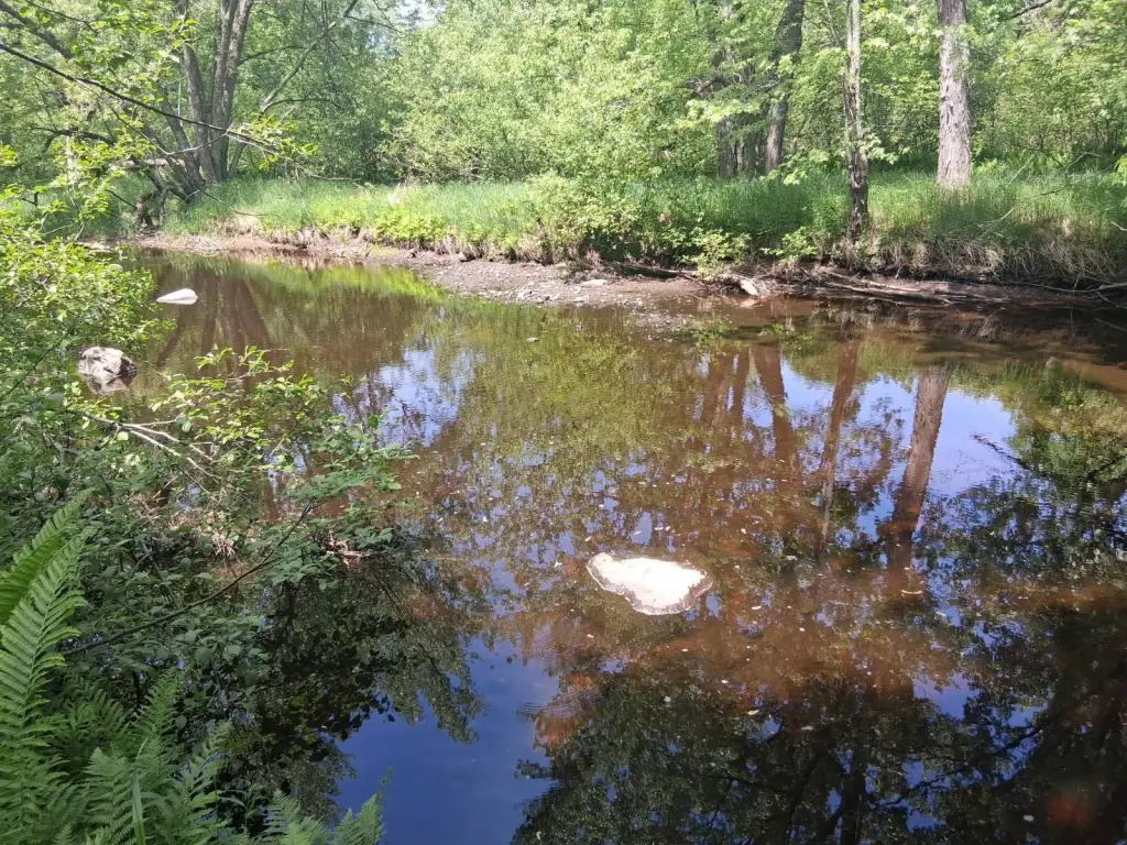 Picture 3