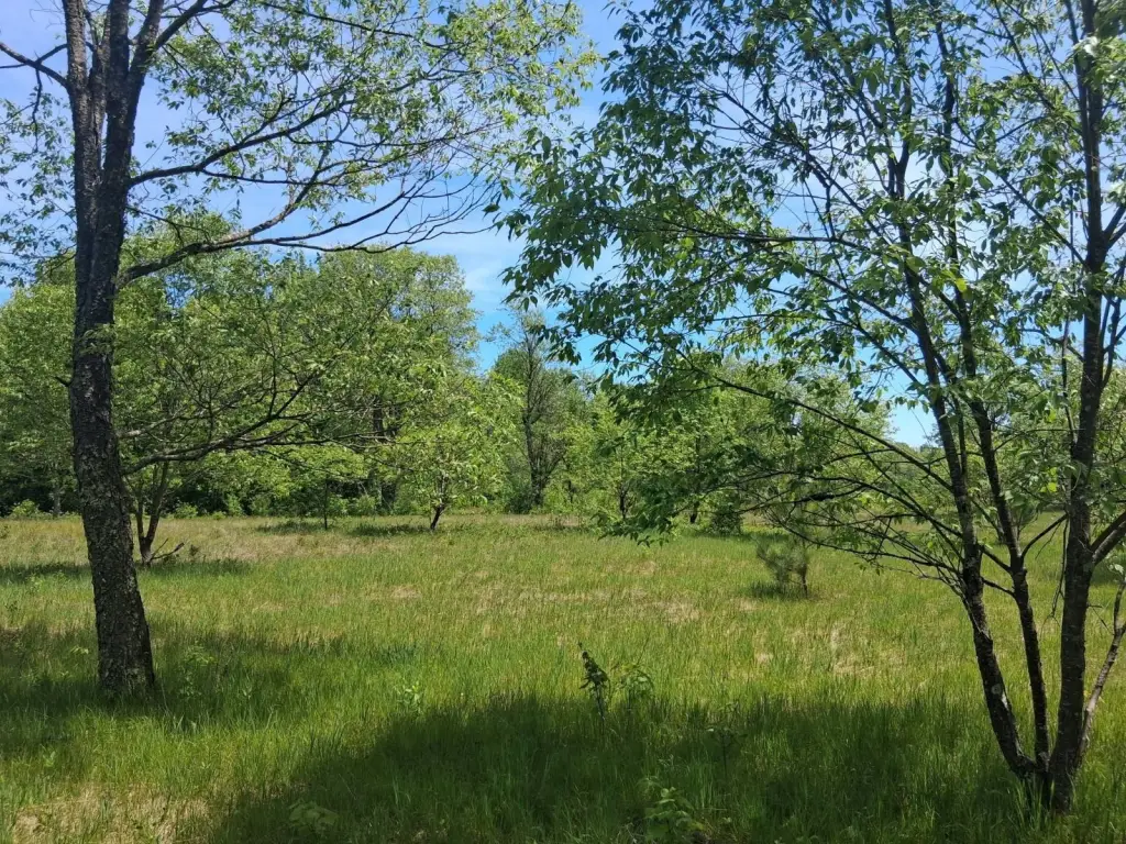 Picture 10
