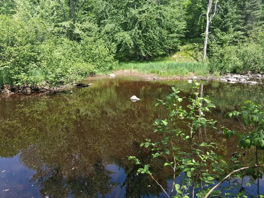 Picture 6