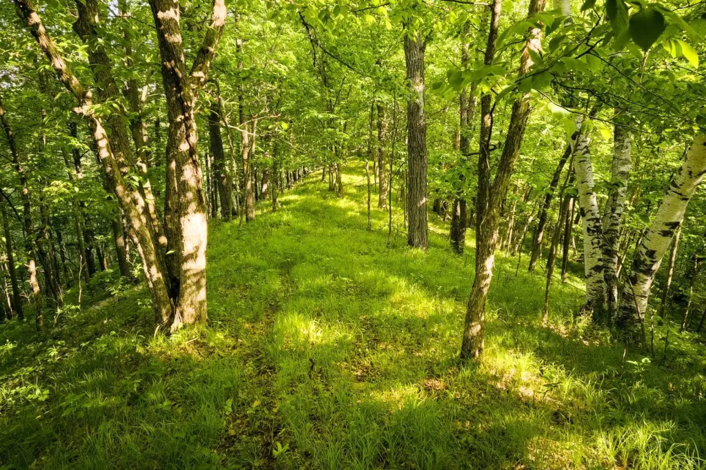 Picture 10