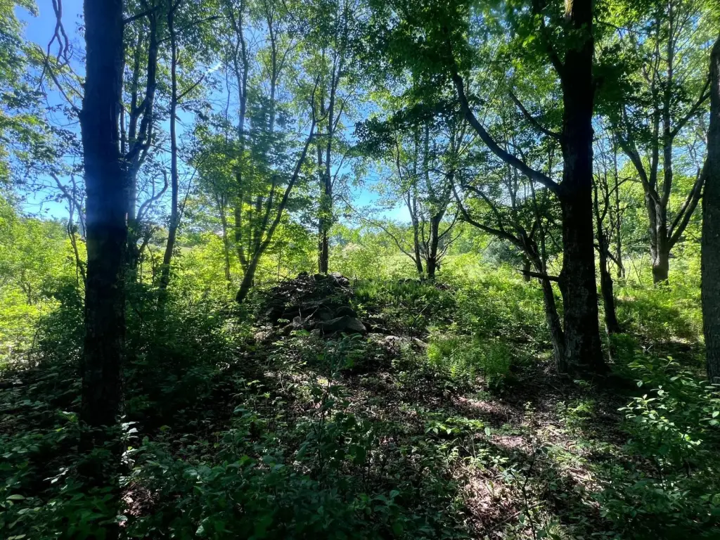 Picture 7