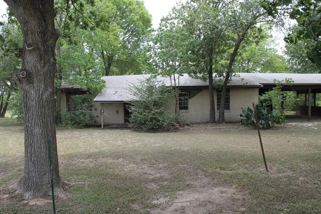 Picture 11