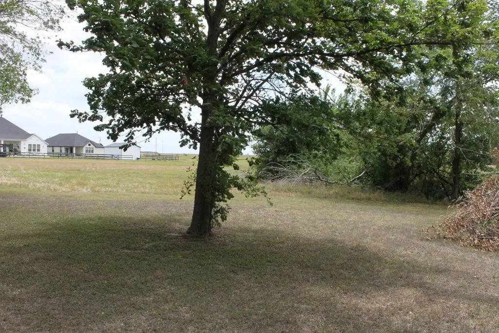 Picture 10