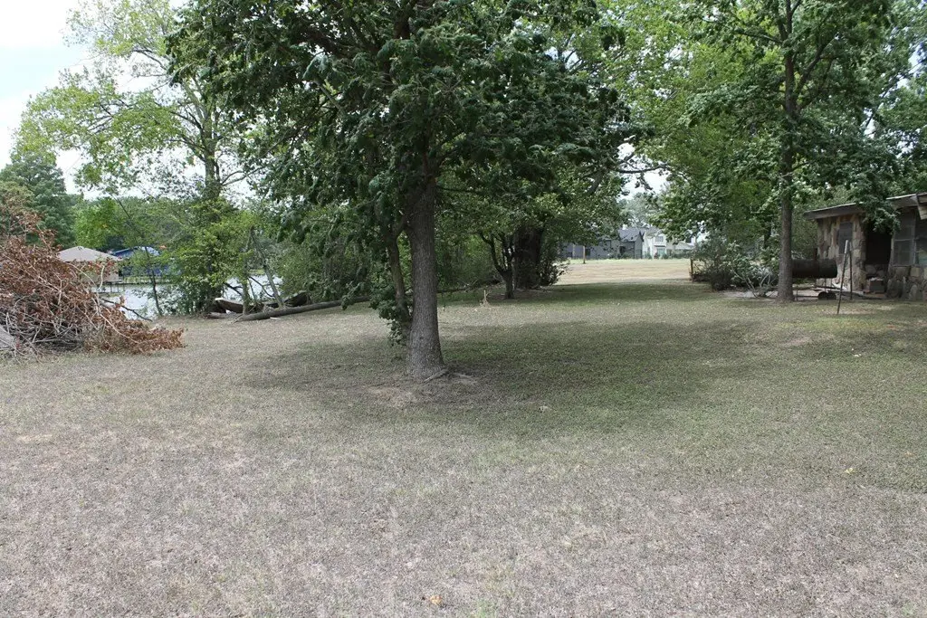 Picture 6