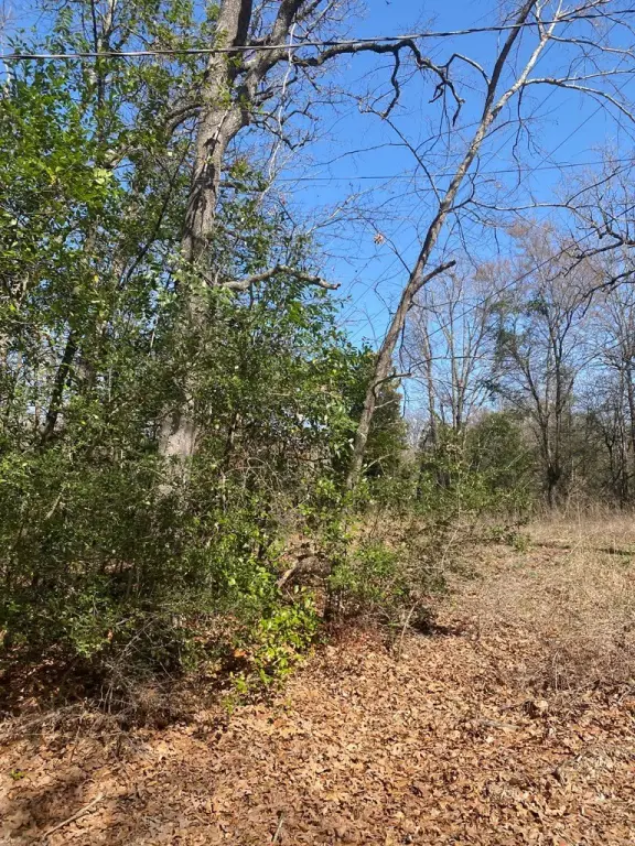 Picture 2