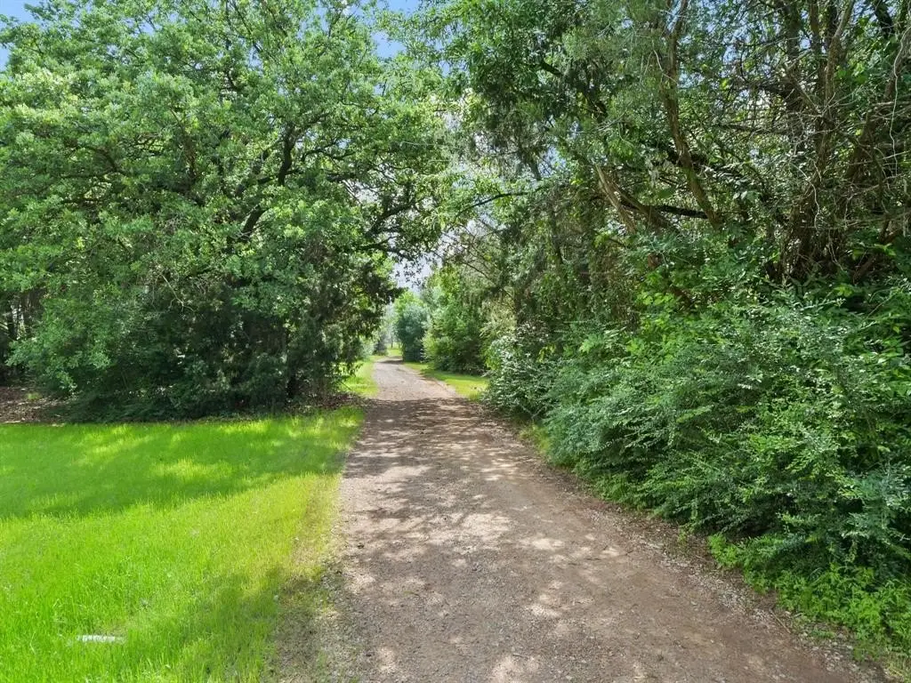 Picture 18