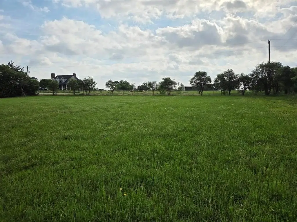 Picture 6