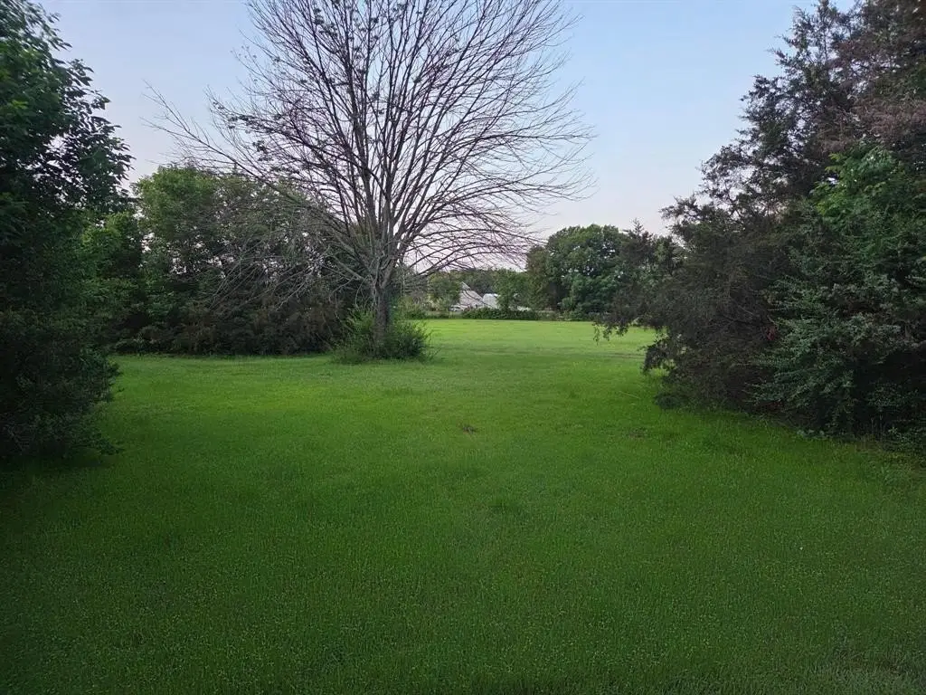 Picture 7