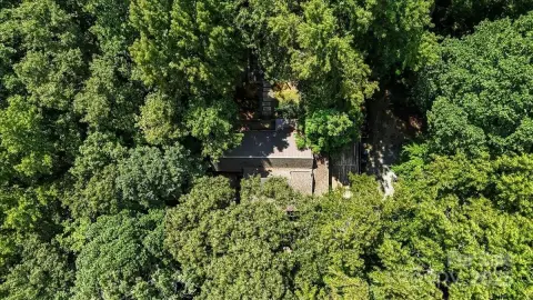 Five Wooded Acres in Matthews