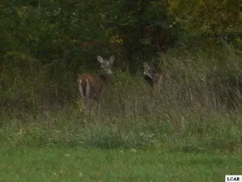 Lakefront Lot on Lake Adrian