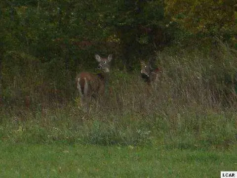 Lakefront Lot on Lake Adrian