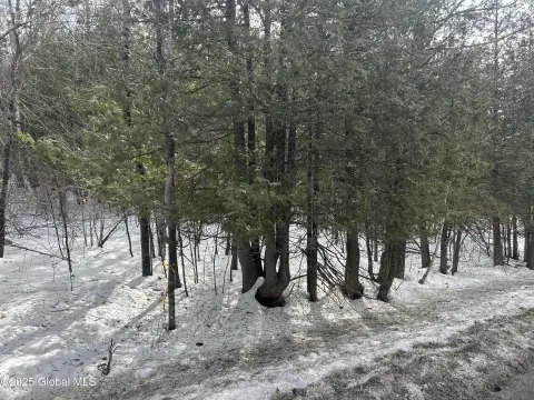 50 Acre Wooded Land Parcel