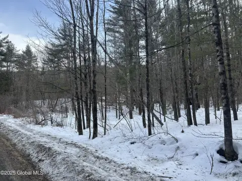 Crown Point Wooded Land Parcel