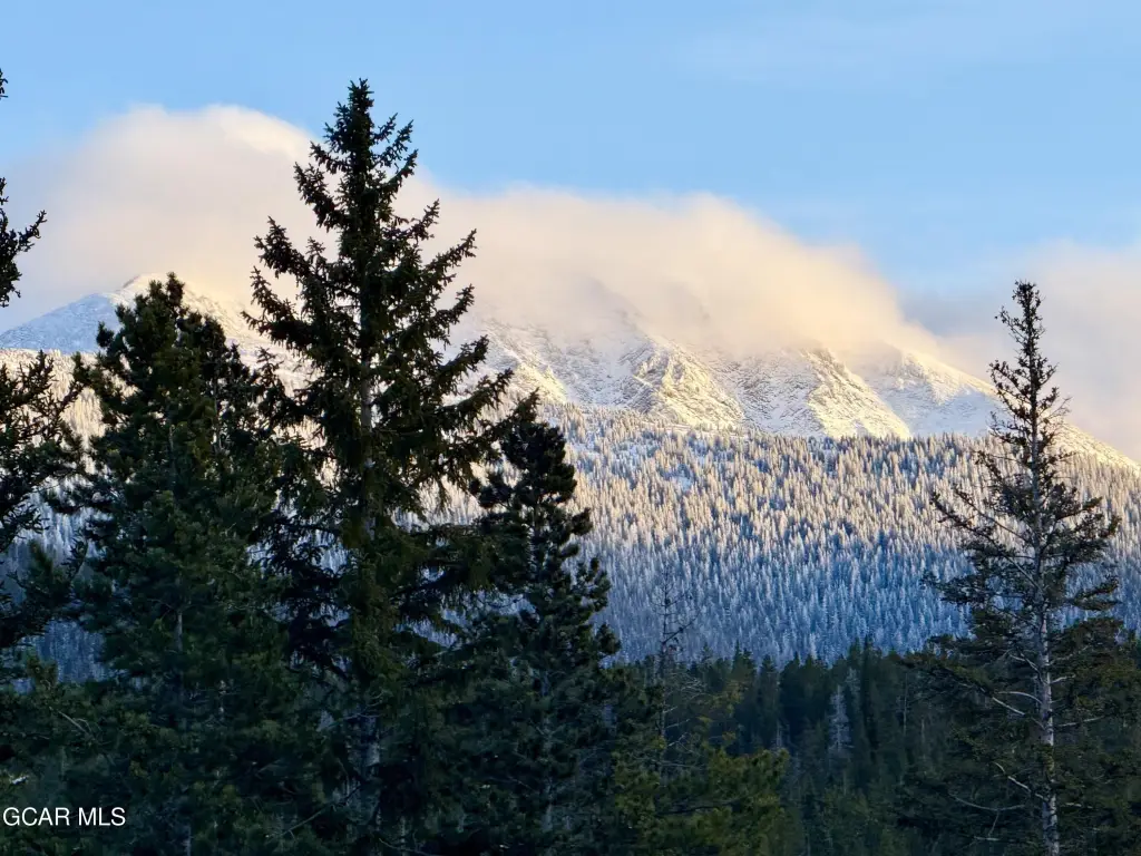 Picture 21