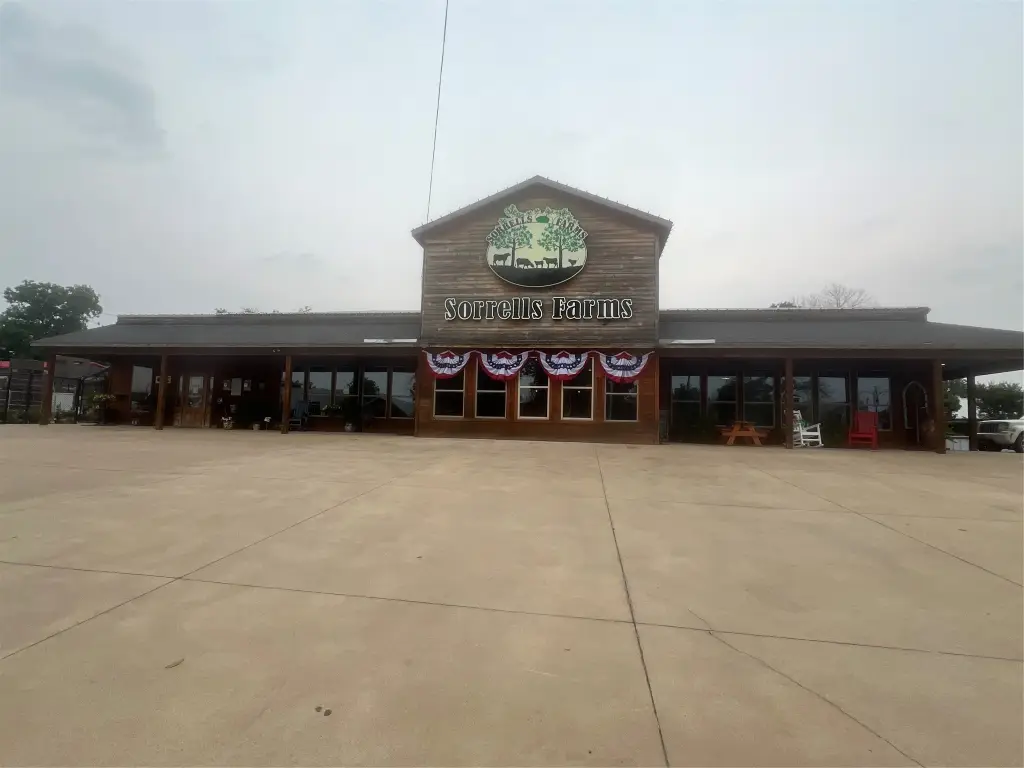 Picture 3