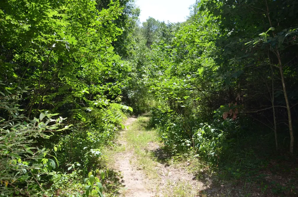 Picture 23