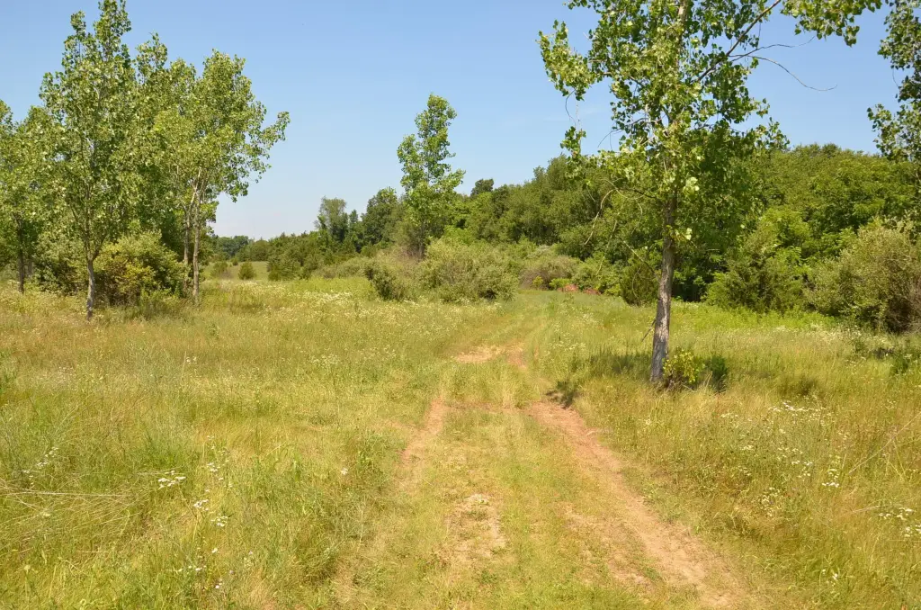 Picture 30