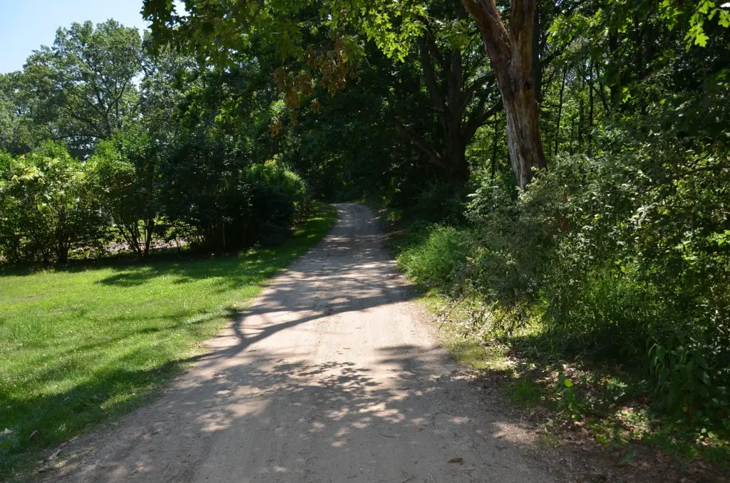 Picture 25