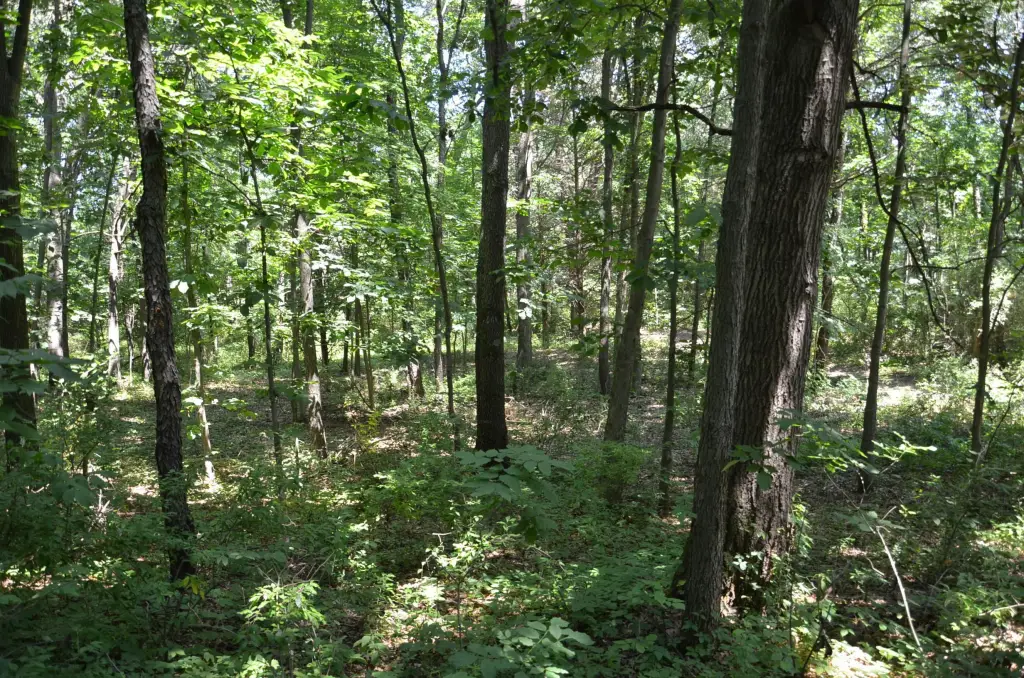 Picture 22