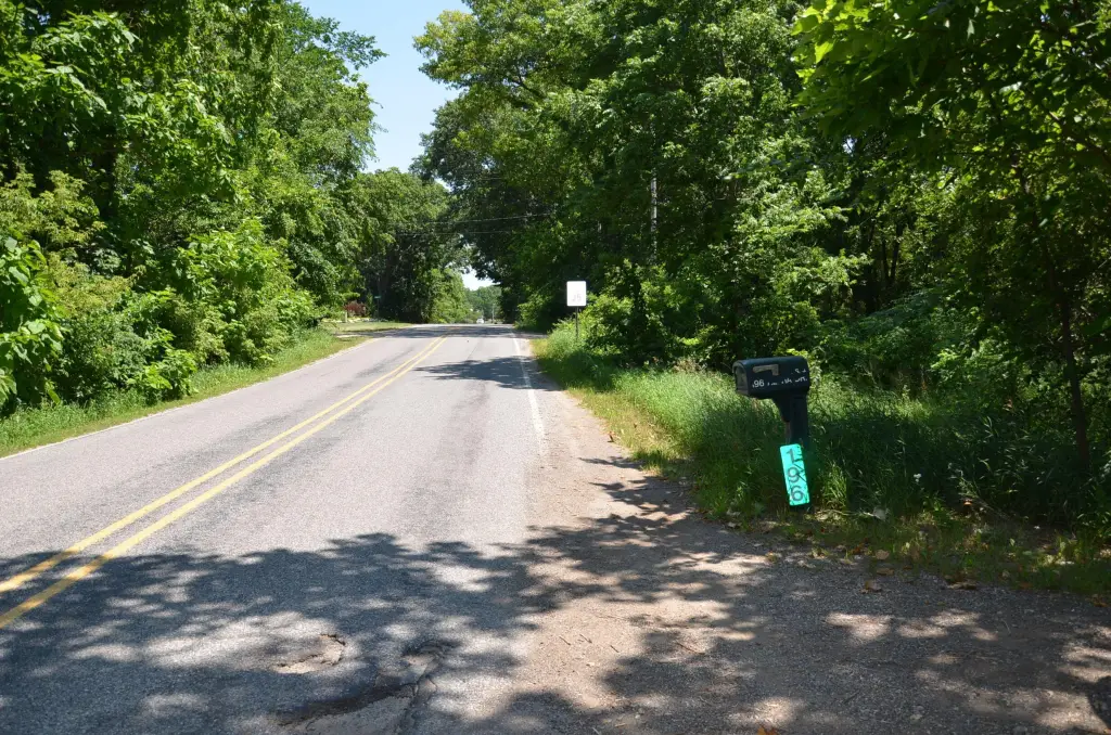 Picture 8