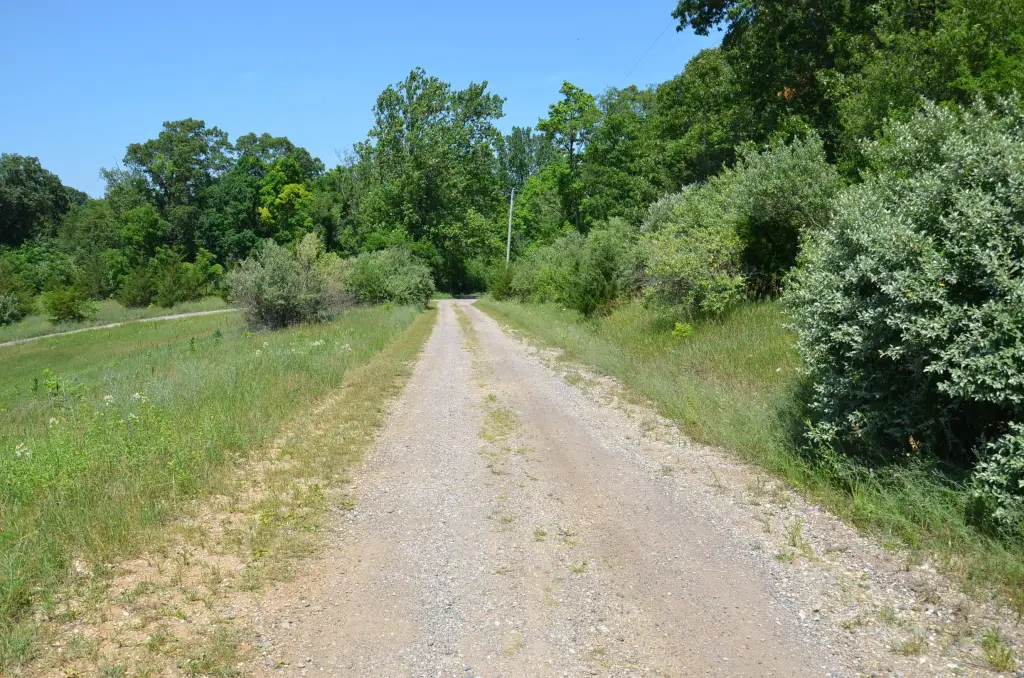 Picture 13