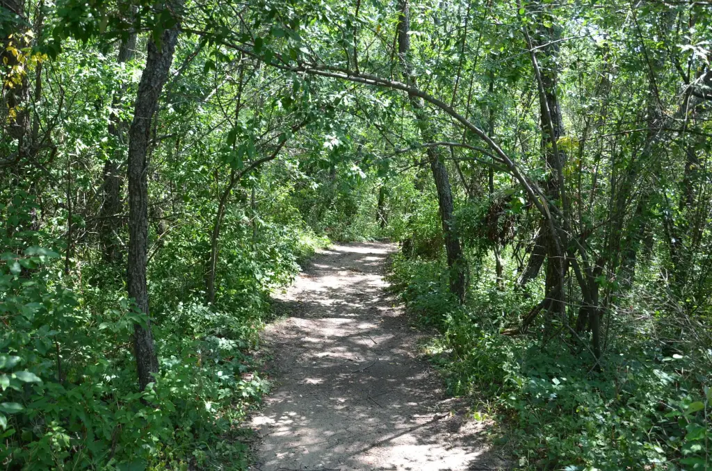 Picture 21