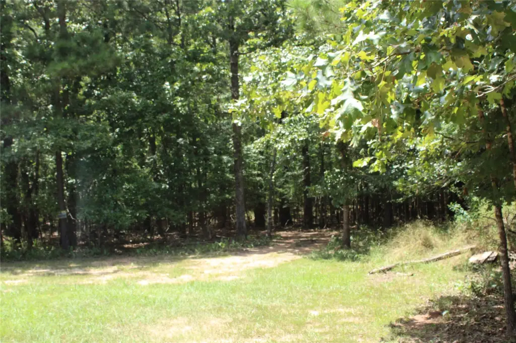 Picture 10