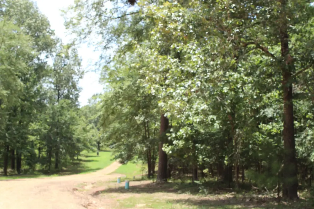 Picture 13