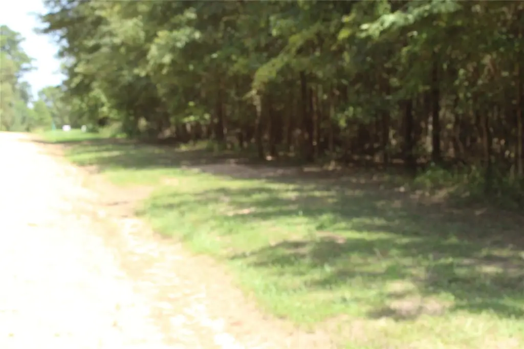 Picture 3