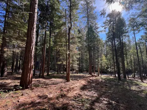 Residential Lot in Blue Lake Springs