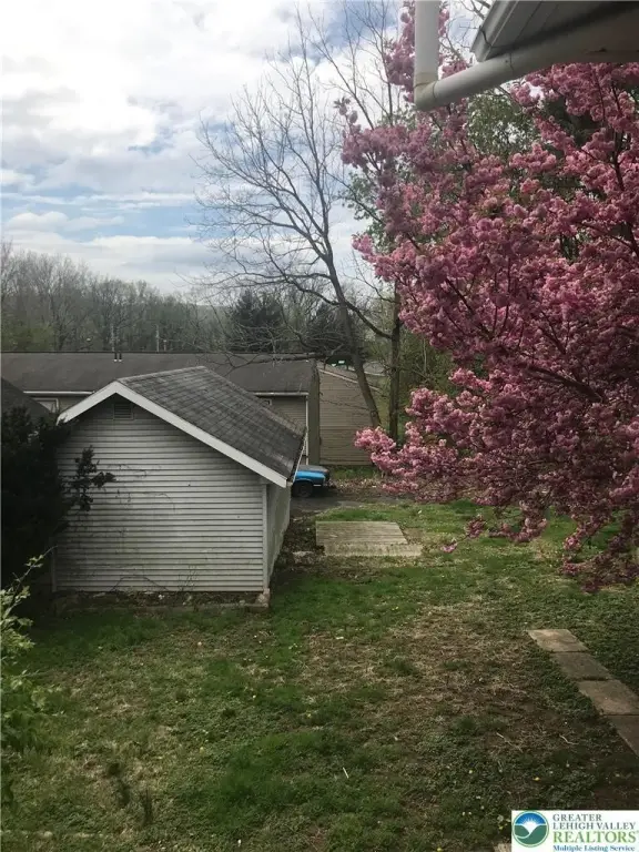 Picture 20
