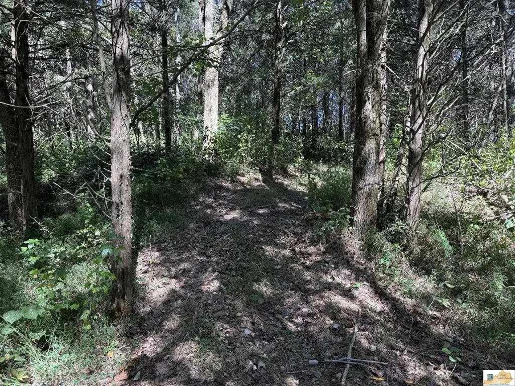 Picture 14
