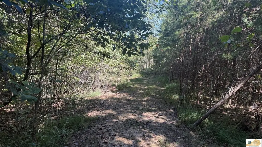 Picture 21
