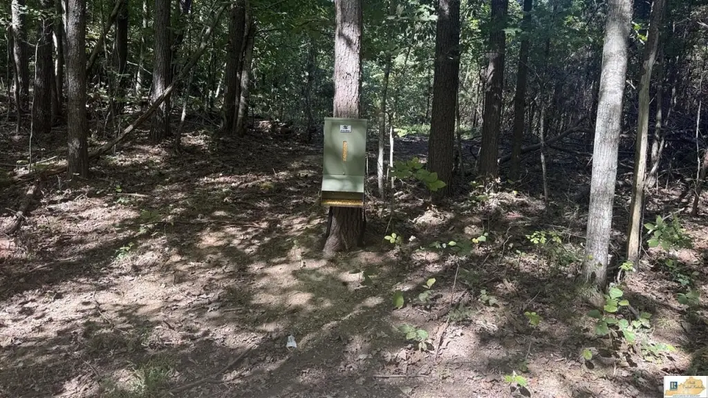 Picture 25