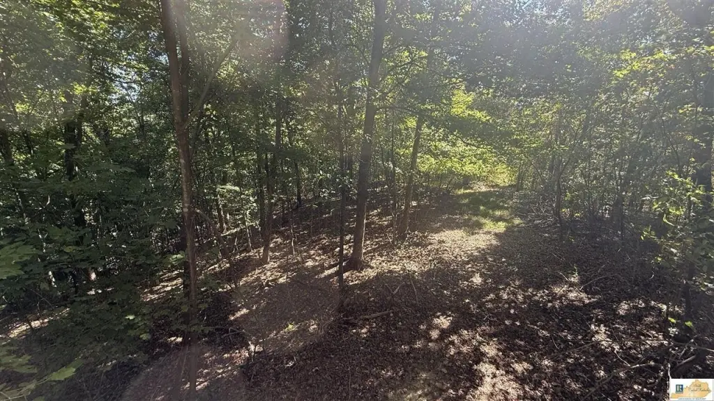 Picture 39