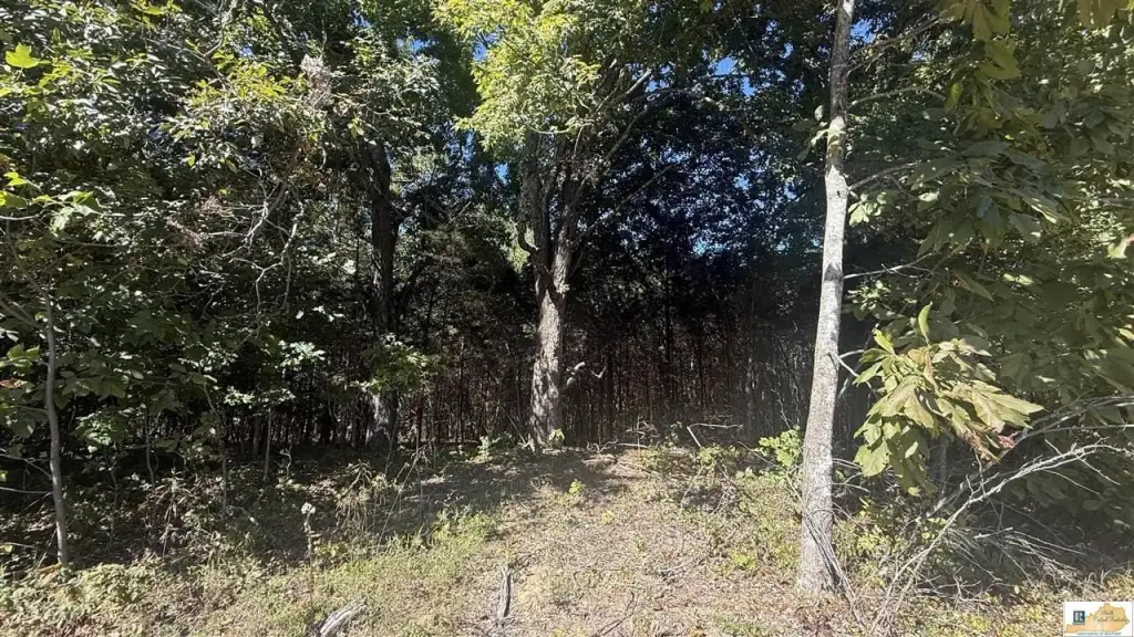 Picture 40