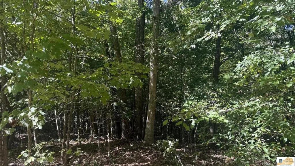 Picture 24