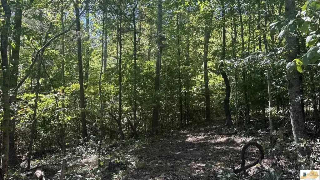 Picture 27