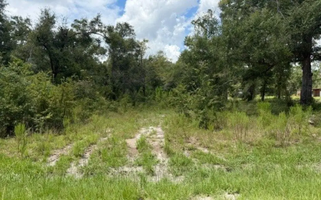 Picture 9