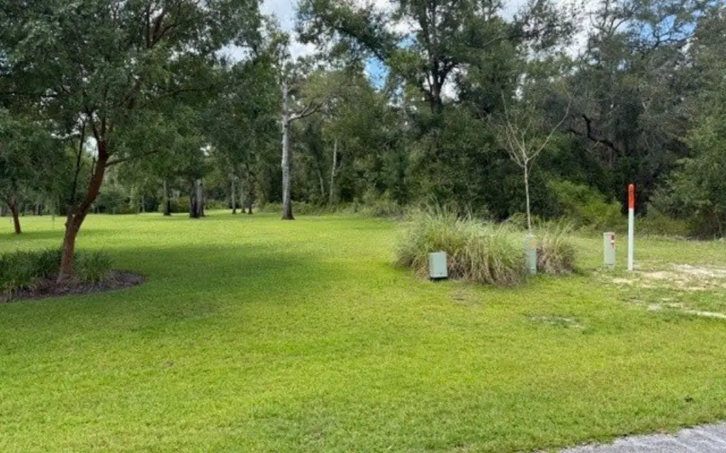 Picture 2