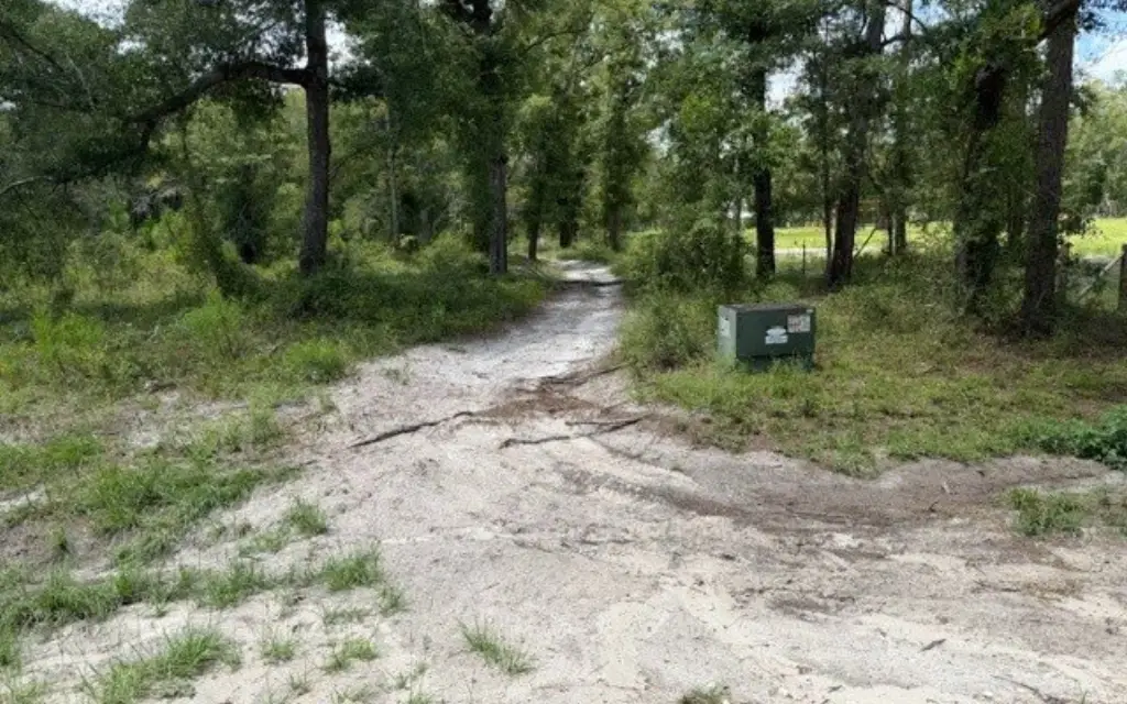 Picture 4