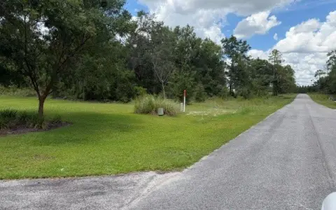 Wooded A-1 Land Parcel