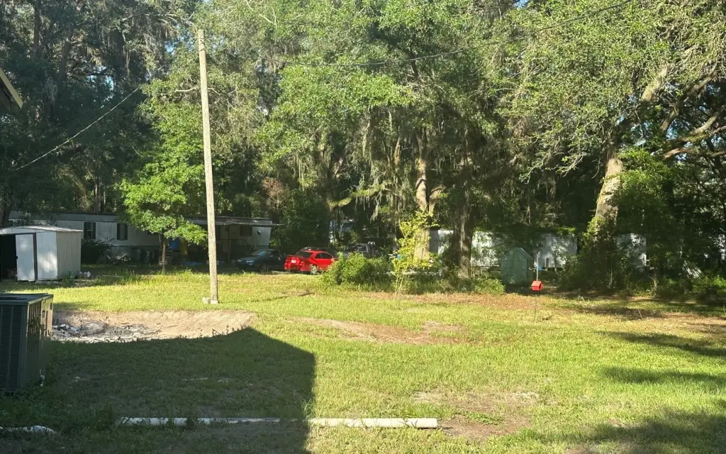 Picture 5