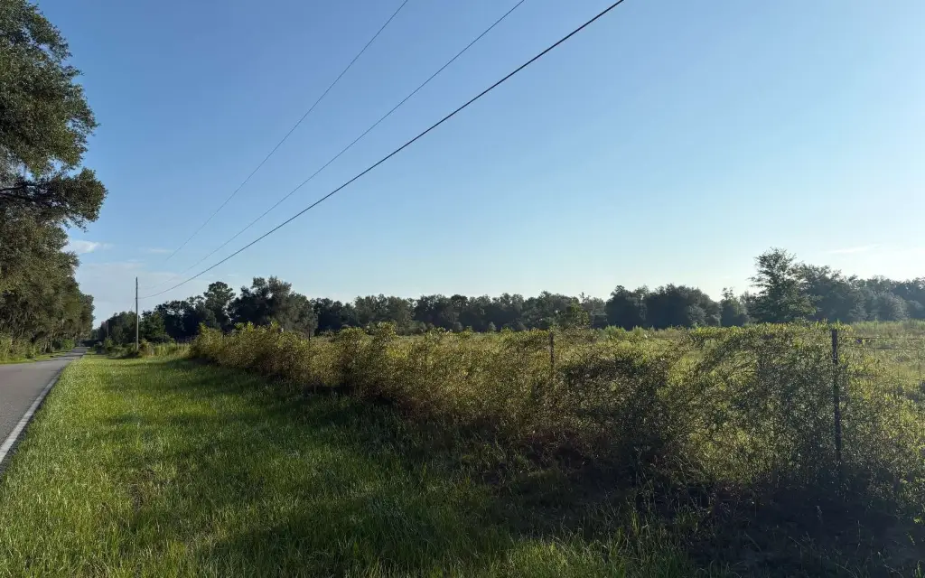 Picture 14