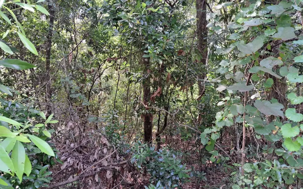 Picture 4