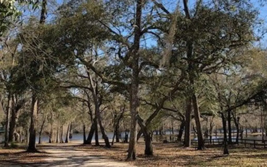 Picture 12