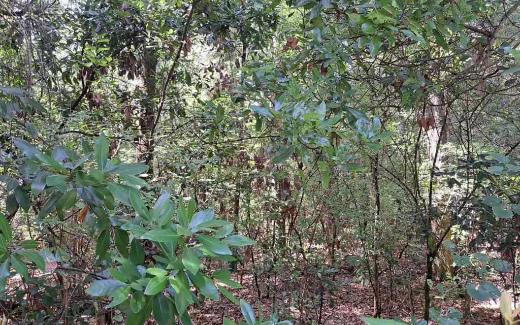 Picture 4