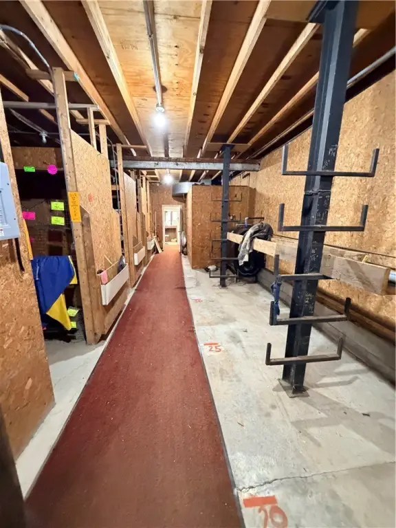Picture 14