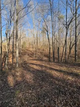 Wooded Land in Dahlonega, GA