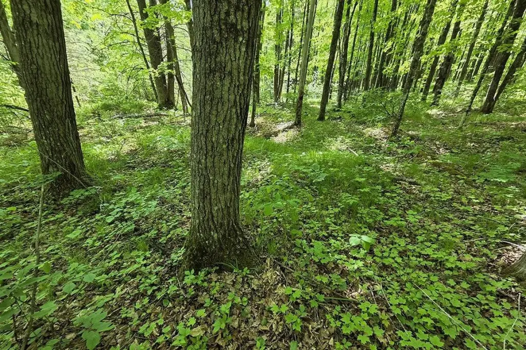 Picture 13